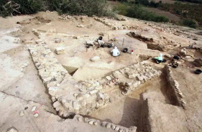 Tell El-Hammam Excavation Project。